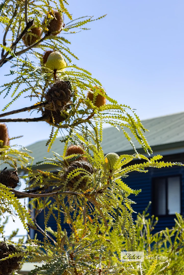 Additional image 6 of 52 Gneiss Hill Road, Bremer Bay WA 6338