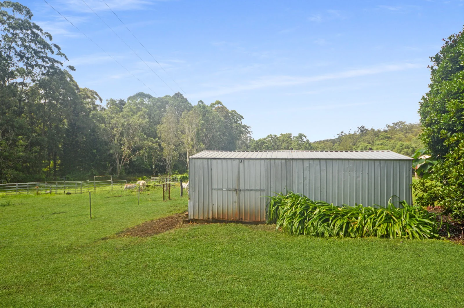 Additional image 10 of 1888 Tumoulin Road, Ravenshoe QLD 4888