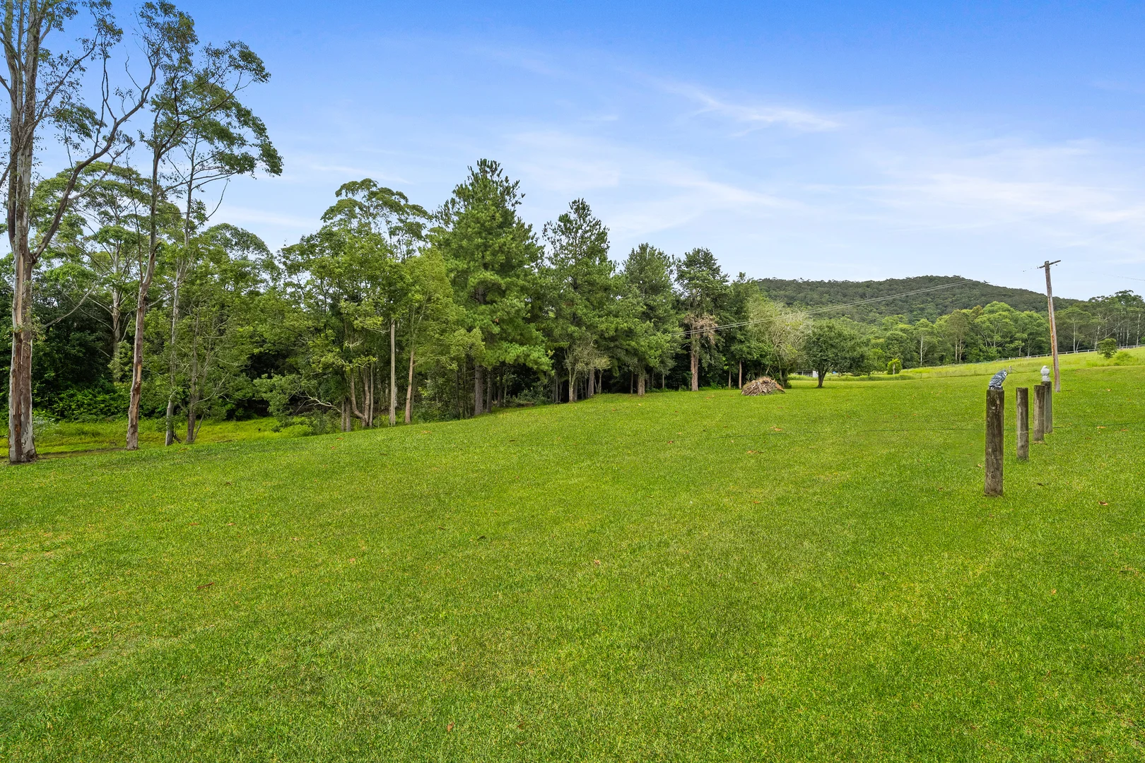 Additional image 6 of 68 Watagan Forest Drive, Jilliby NSW 2259