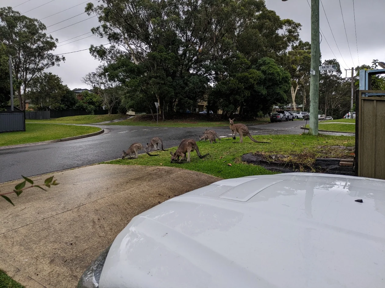 Additional image 3 of Wyee Point NSW 2259