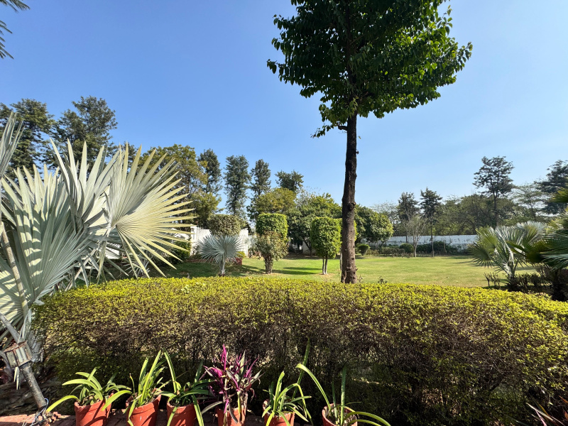 Teekli Village, Sohna, Gurgaon