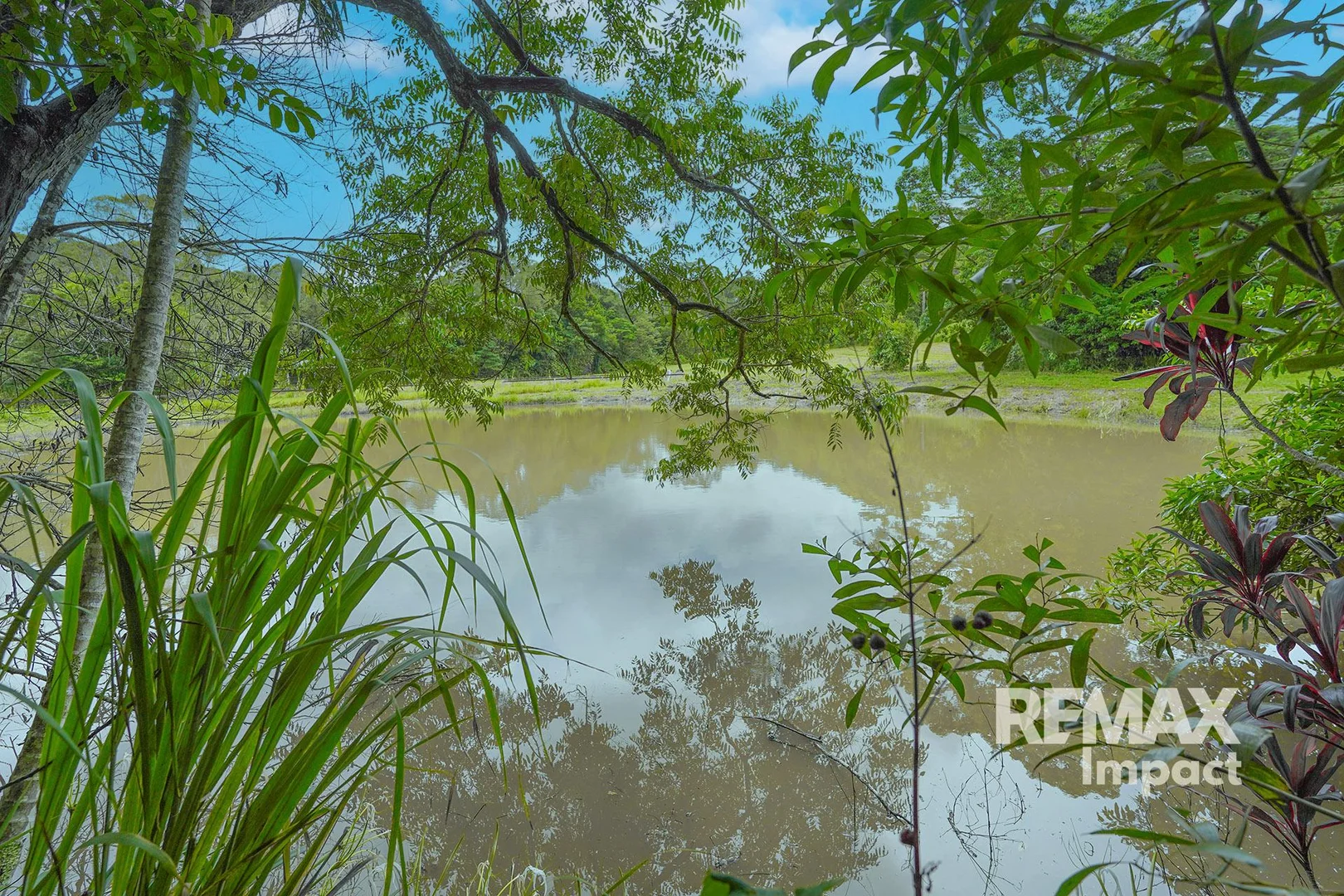 Additional image 16 of 1616 Mossman-Mount Molloy Road, Julatten QLD 4871