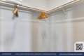 Additional image 13 of 922 Magnolia Ter Unit 1734, Sunnyvale, CA, 94086