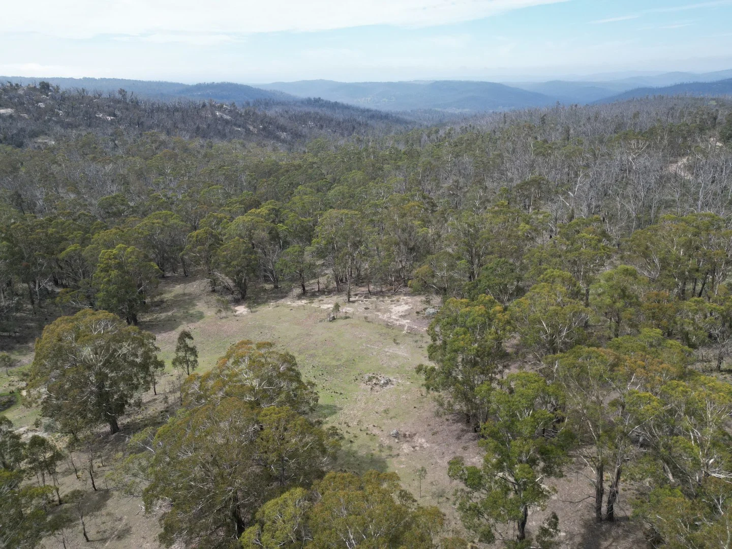 Lot 97/97, 175 Tumbledown Road, Peak View NSW 2630