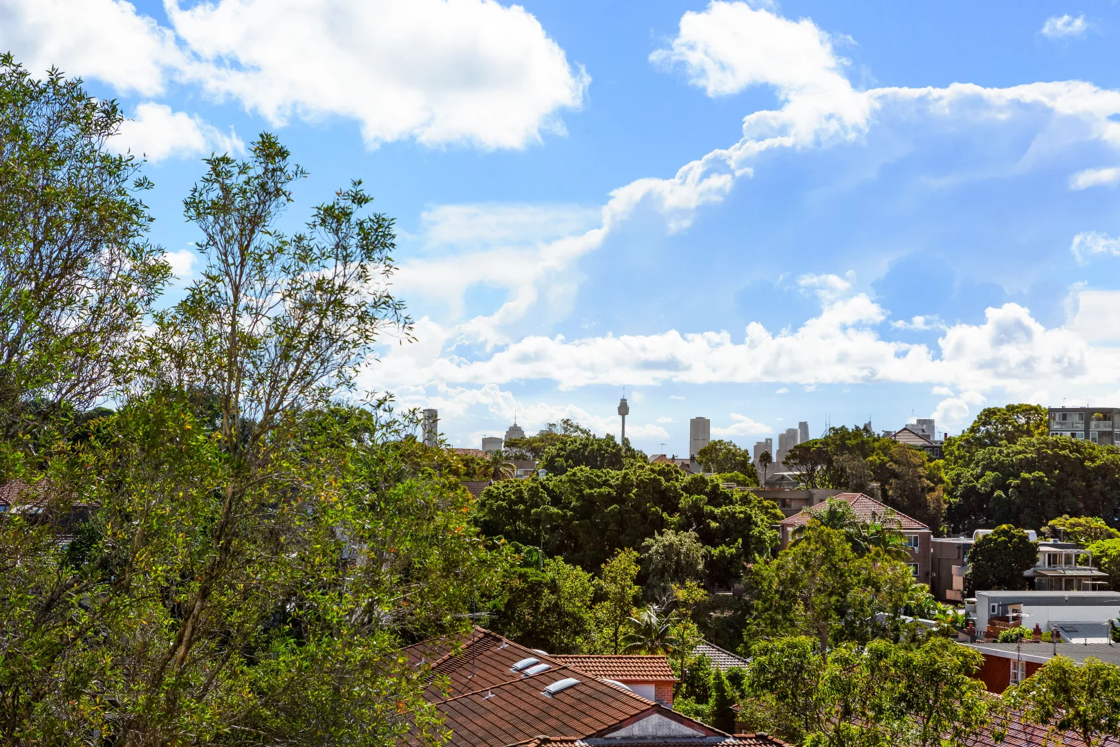 Additional image 9 of 17/36-38 Penkivil Street, Bondi NSW 2026