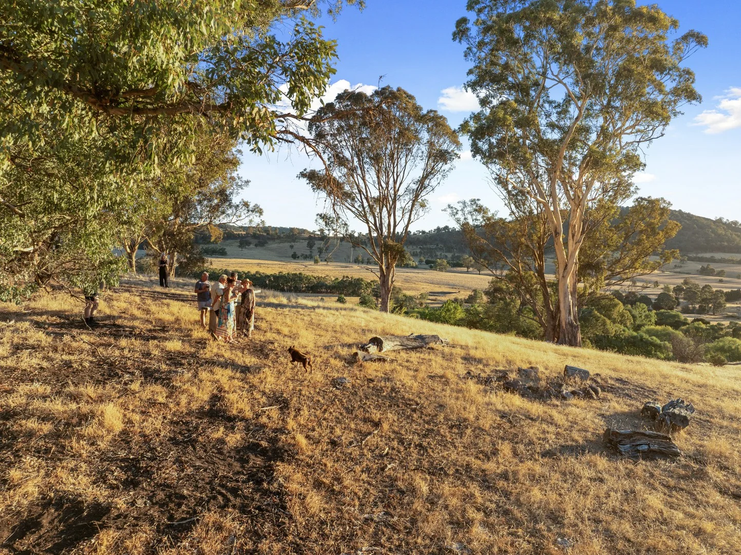Additional image 3 of 155 Shanks Lane, Boorolite VIC 3723
