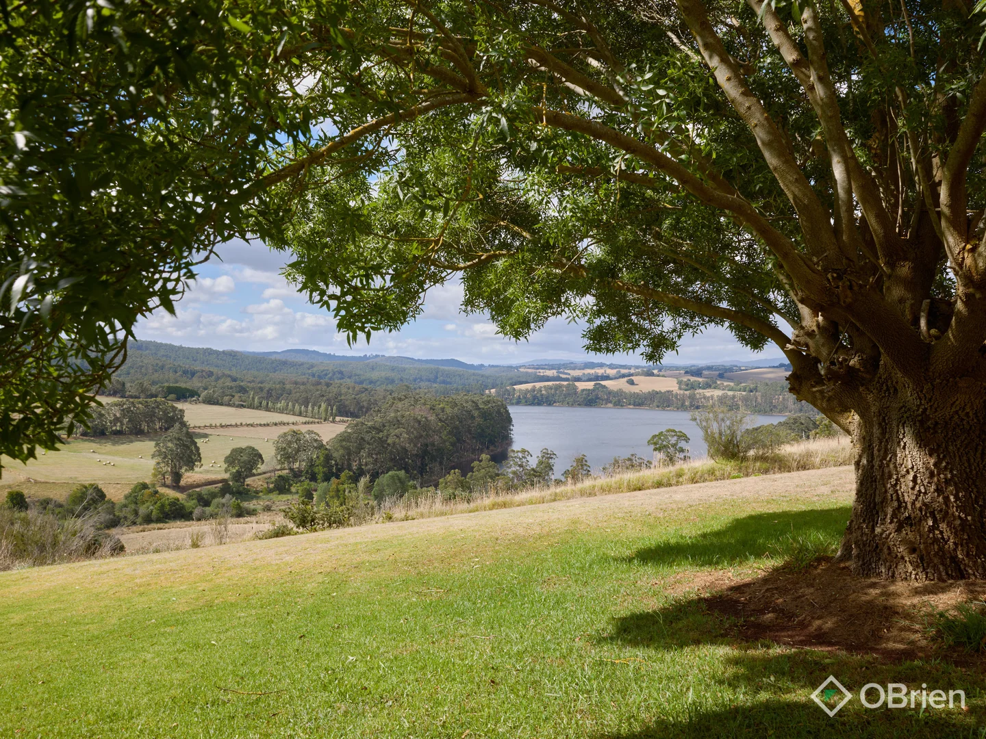 Additional image 20 of 62 Palmer Road, Jindivick VIC 3818