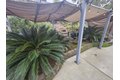 Additional image 4 of 8975 Lawrence Welk Dr Spc 409, Escondido, CA, 92026