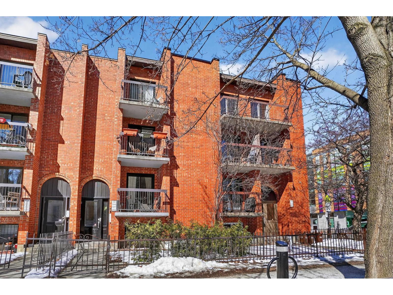 3549 Rue Adam