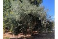 Additional image 38 of 700 Wellsford Rd, Modesto, CA, 95357