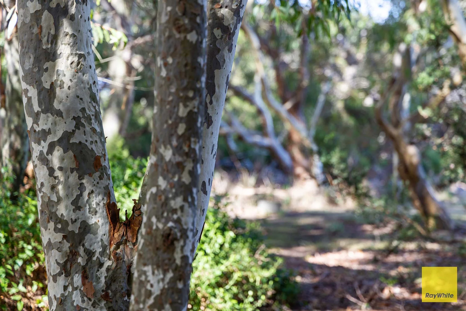 Additional image 18 of 15 Shellcott Road, Yanakie VIC 3960