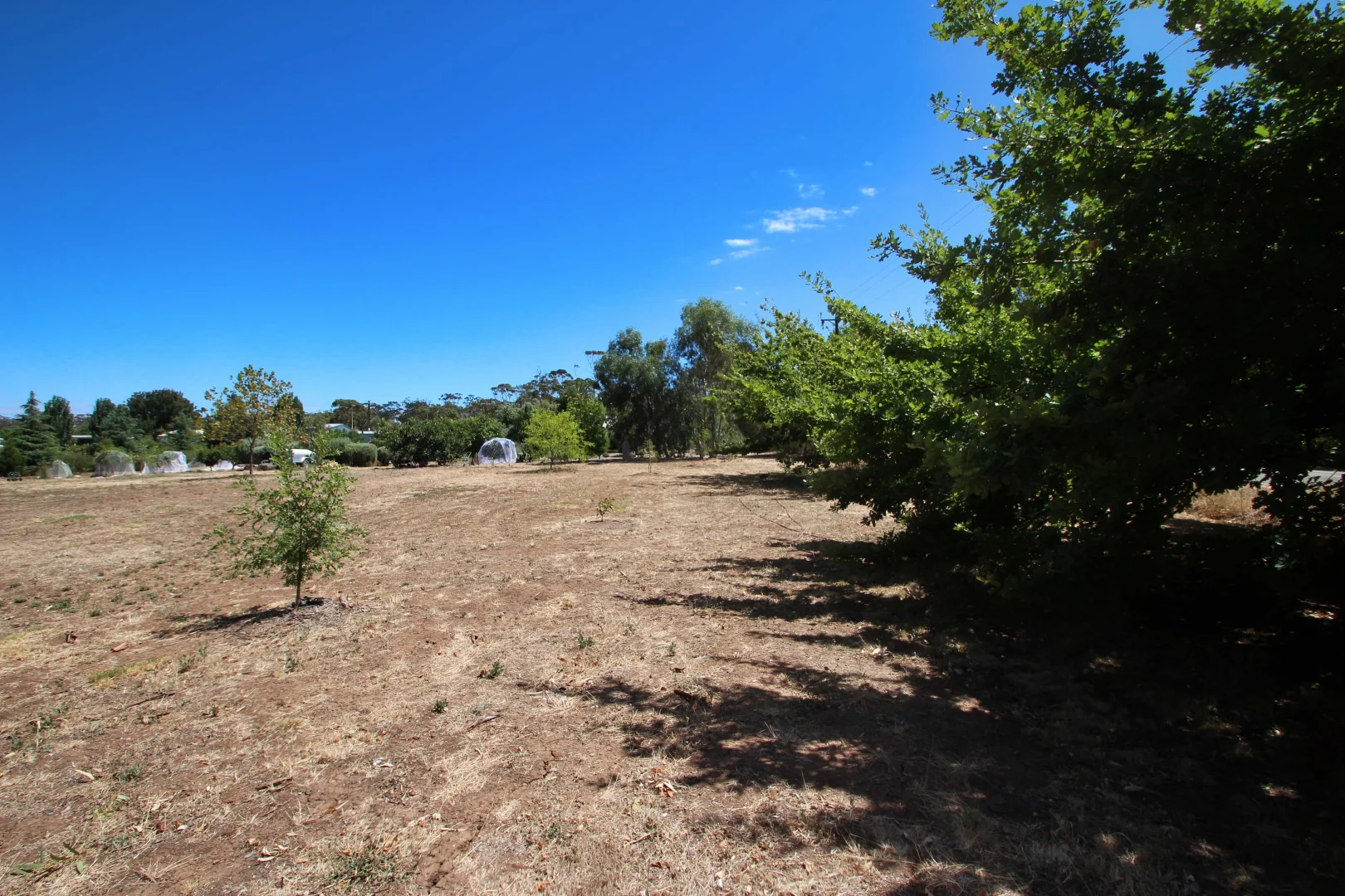 Additional image 9 of Lot 104 West Road, Watervale SA 5452