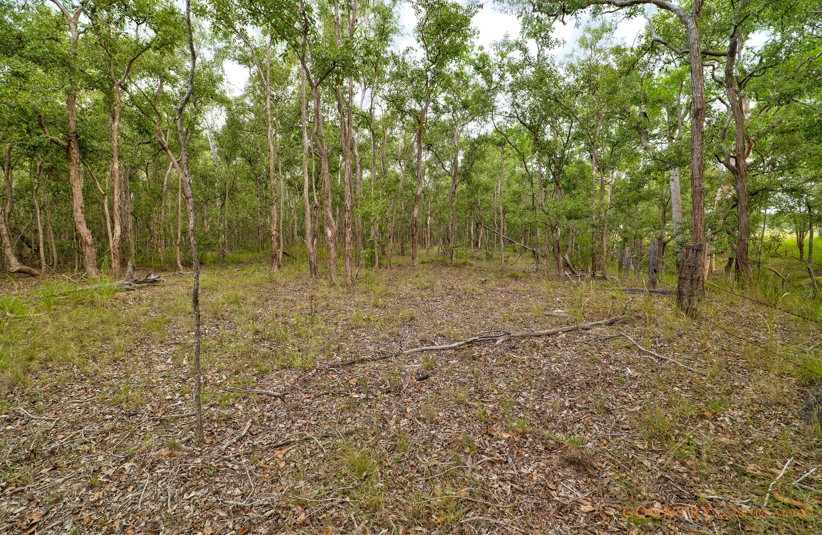 Additional image 6 of Lot 67 Laurel St, Esk QLD 4312