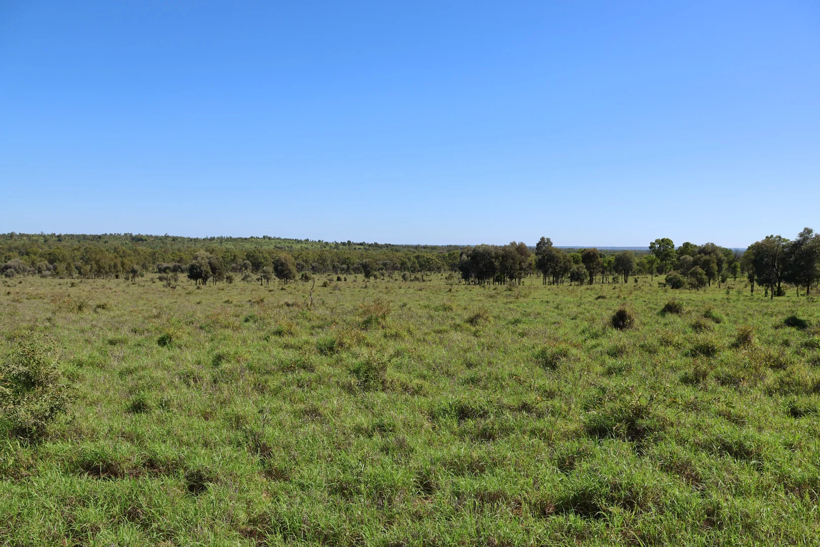 Additional image 13 of 3752 Mitchell Forest Vale Road, Mitchell QLD 4465