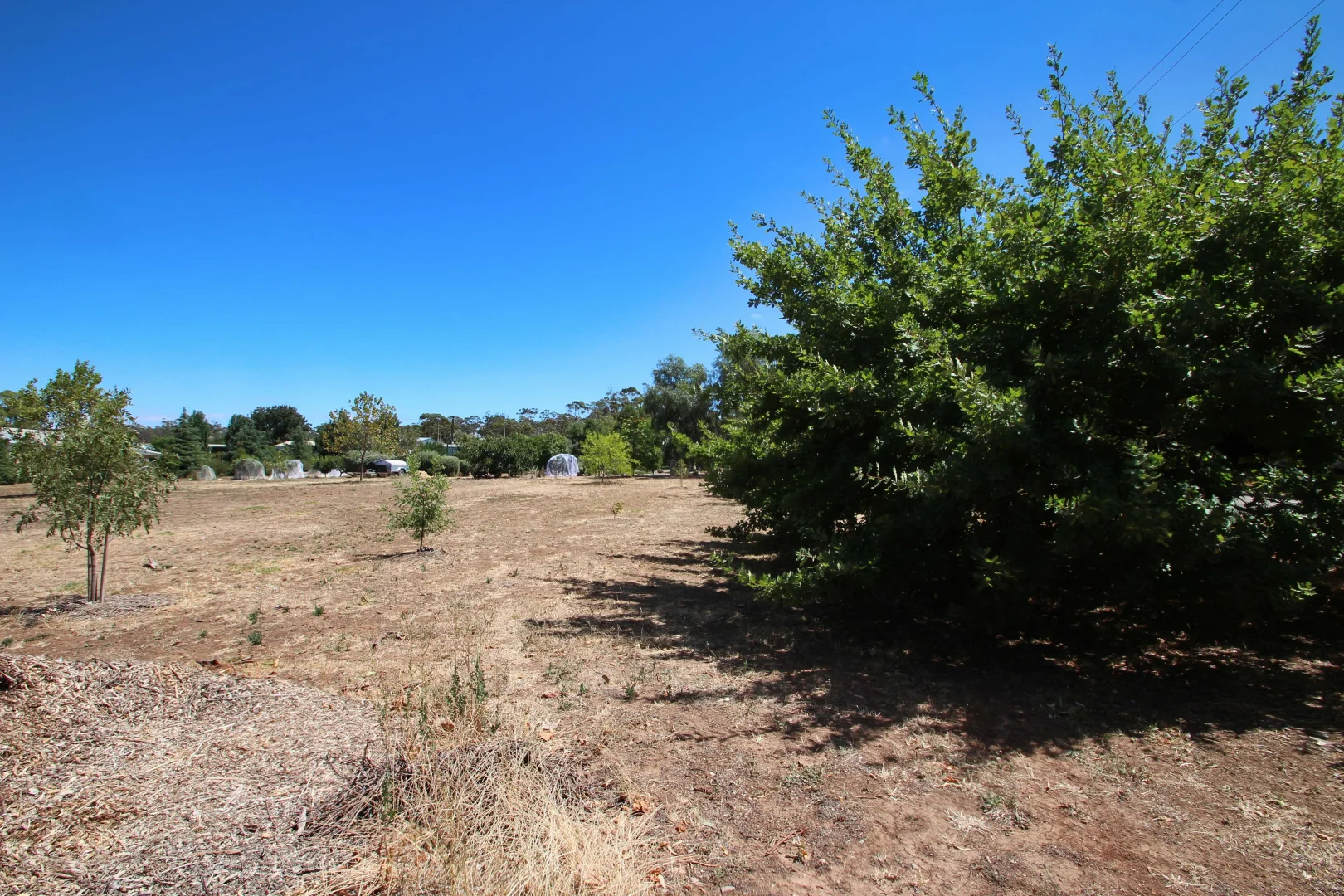 Additional image 4 of Lot 104 West Road, Watervale SA 5452