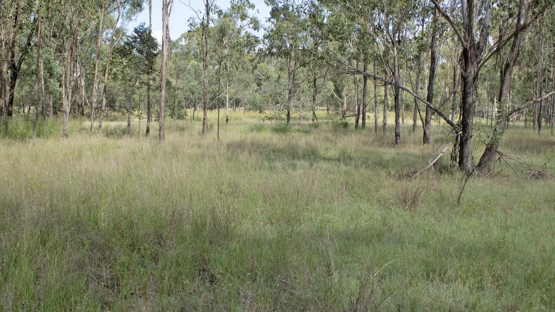 Lot 2/MPH22655 Burnett Highway, Eidsvold QLD 4627 photo 2