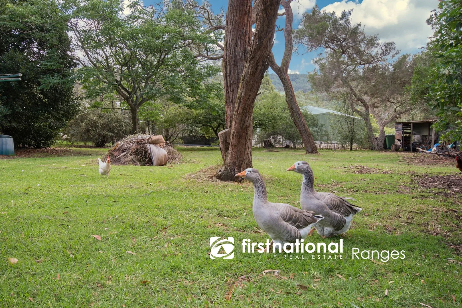 Additional image 6 of 39 Courtneys Road, Belgrave South VIC 3160