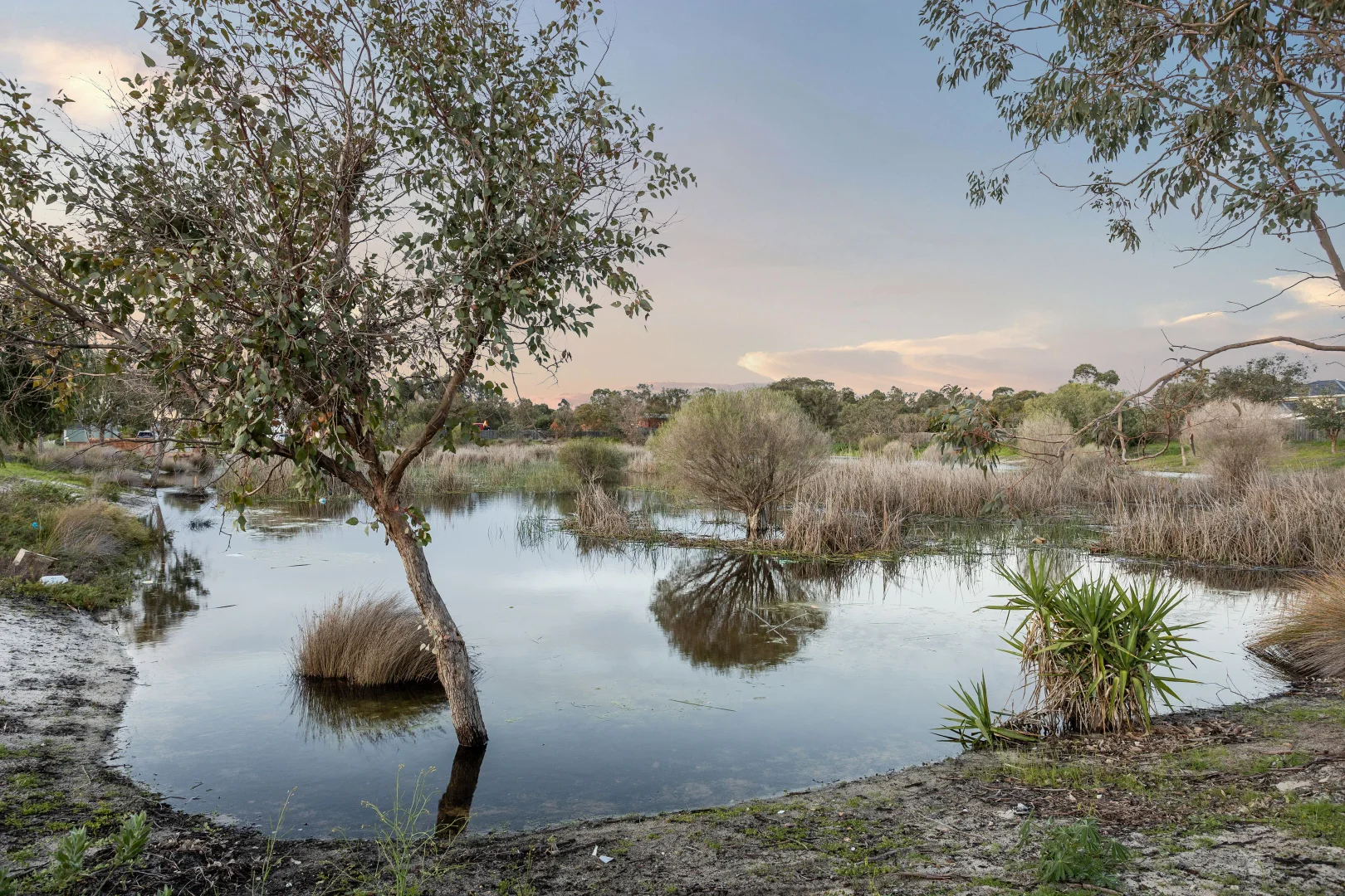 Additional image 33 of 1 Hoffman Cove, The Vines WA 6069
