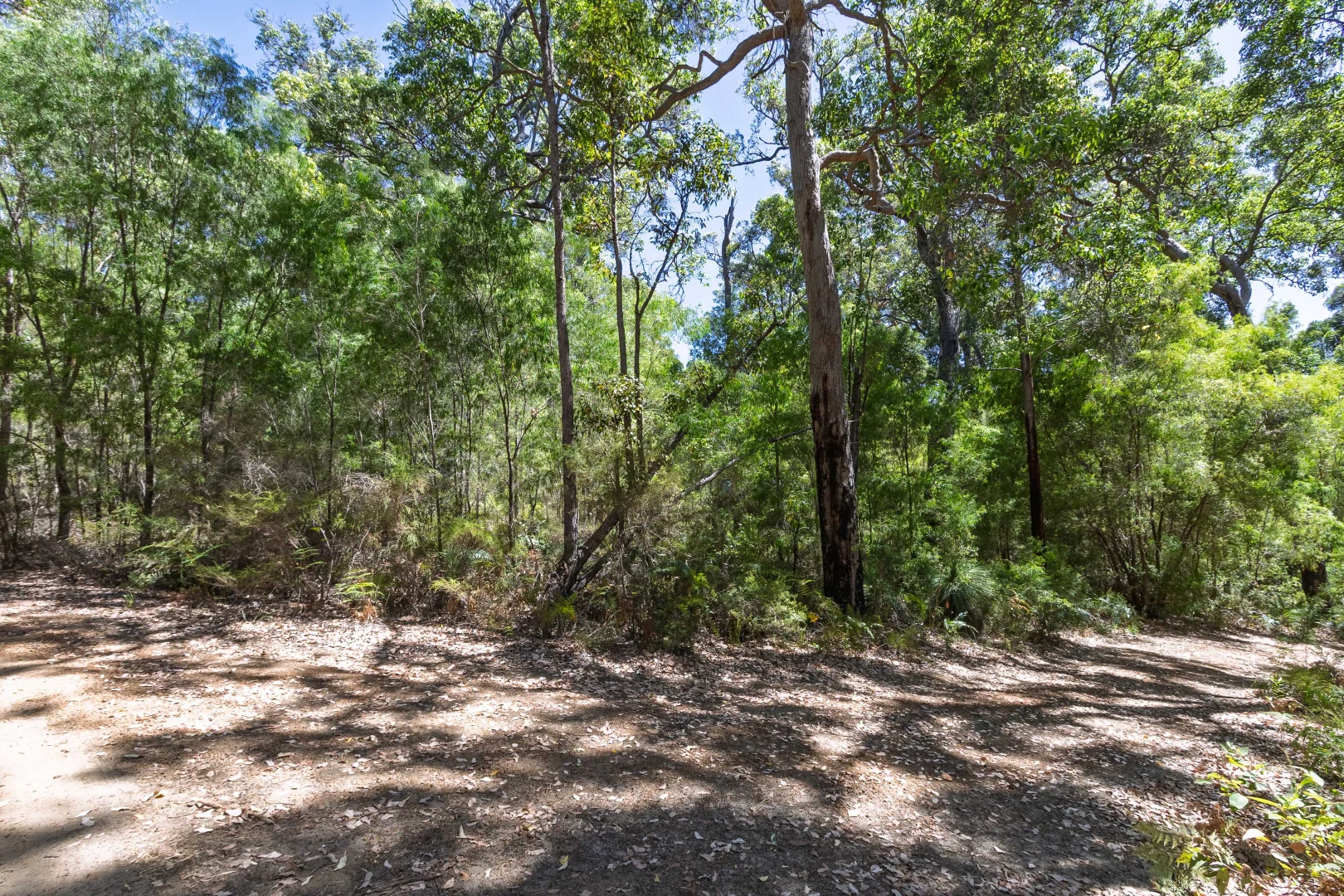 Additional image 9 of Lot 52 Karri Lane, Quinninup WA 6258