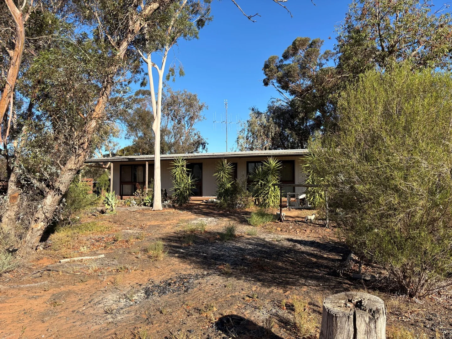 5825 Robinvale-Sea Lake Road, Manangatang VIC 3546