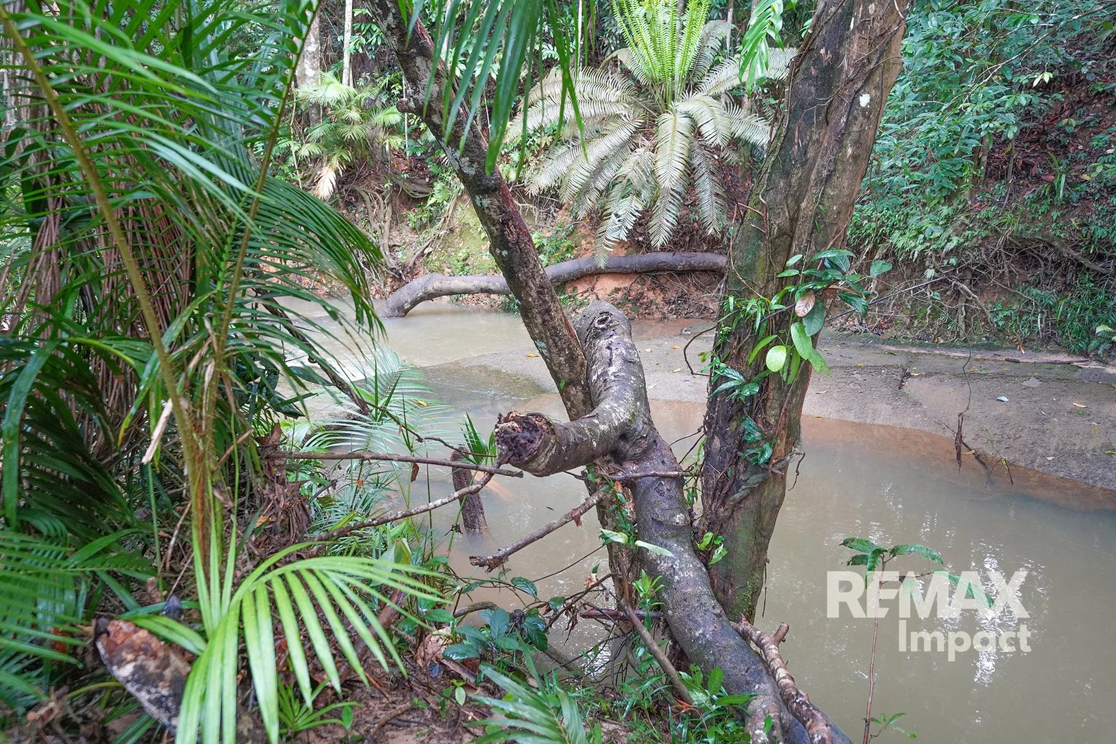 Additional image 22 of 1616 Mossman-Mount Molloy Road, Julatten QLD 4871