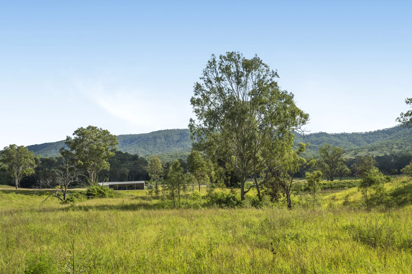 Additional image 11 of 1554 Duck Creek Road, Kerry QLD 4285