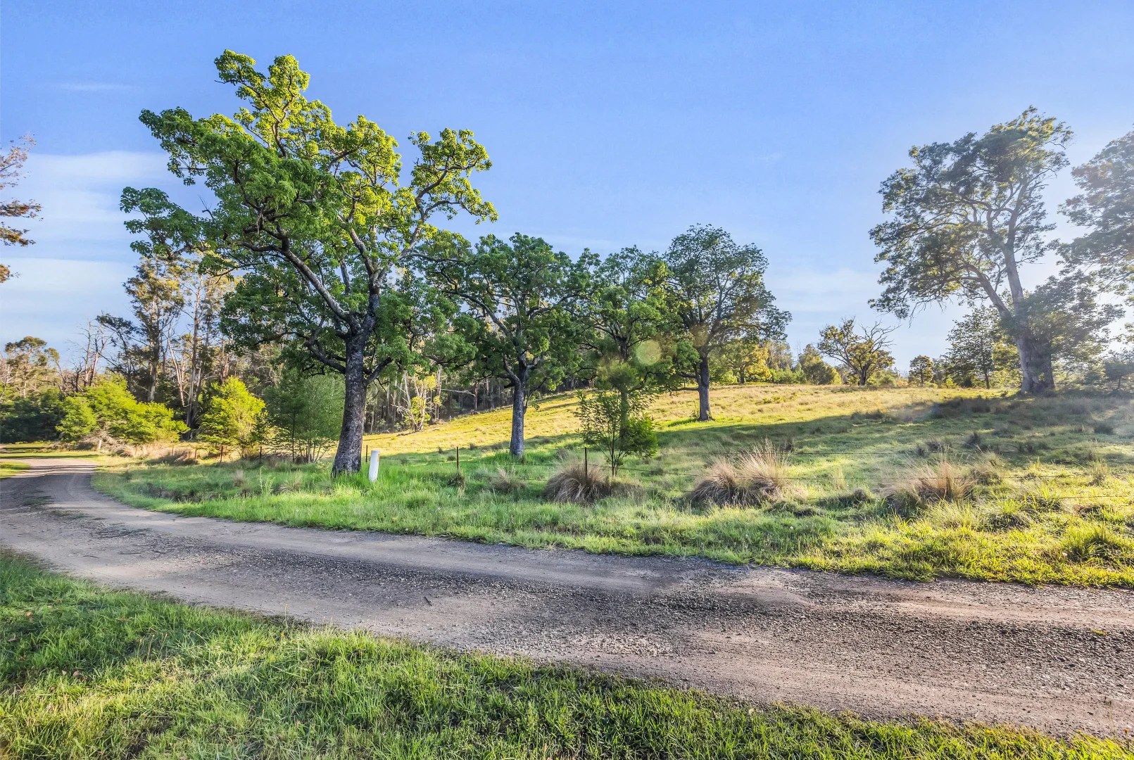 Additional image 6 of 718 Yowrie Road, Yowrie NSW 2550