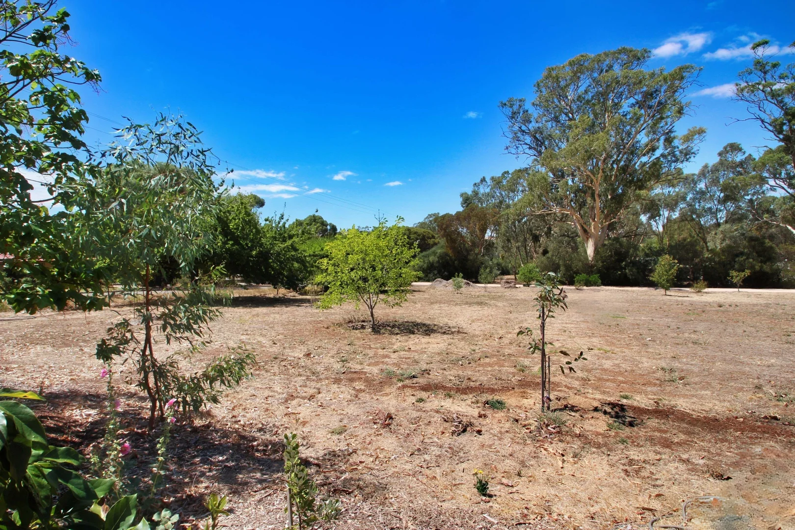 Additional image 3 of Lot 104 West Road, Watervale SA 5452