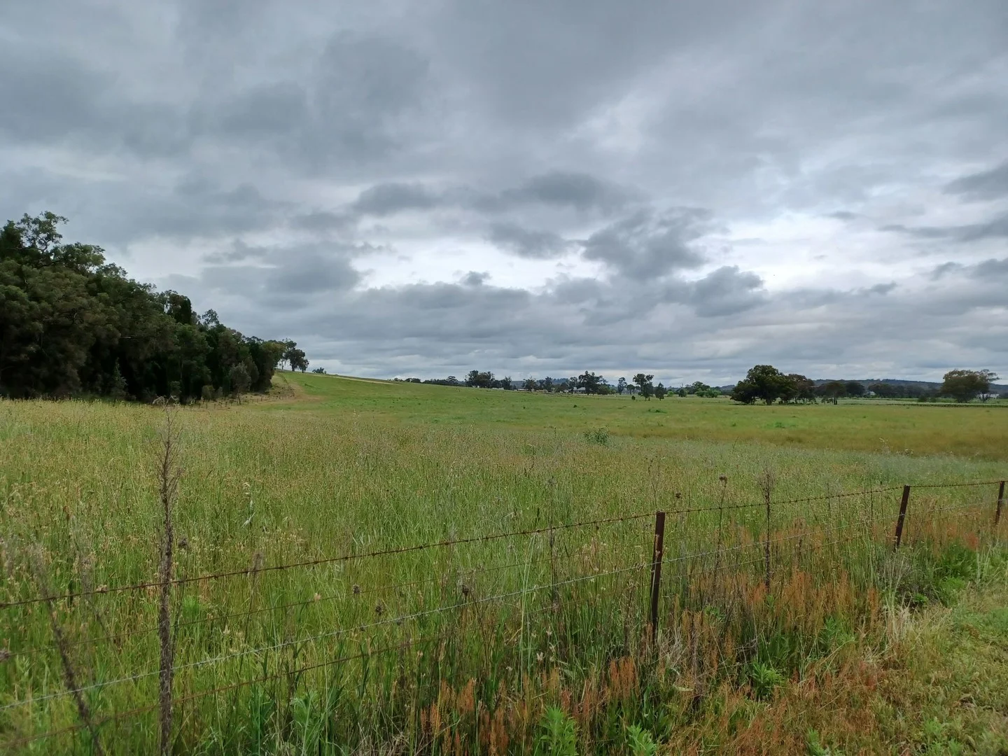 Lot 5/277 Blacksprings rd, Eurunderee NSW 2850