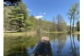 Additional image 12 of 2151 Route 2, Charlemont, MA, 01339