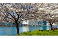 Additional image 13 of 555 Main St Apt 1204, Manhattan, NY, 10044