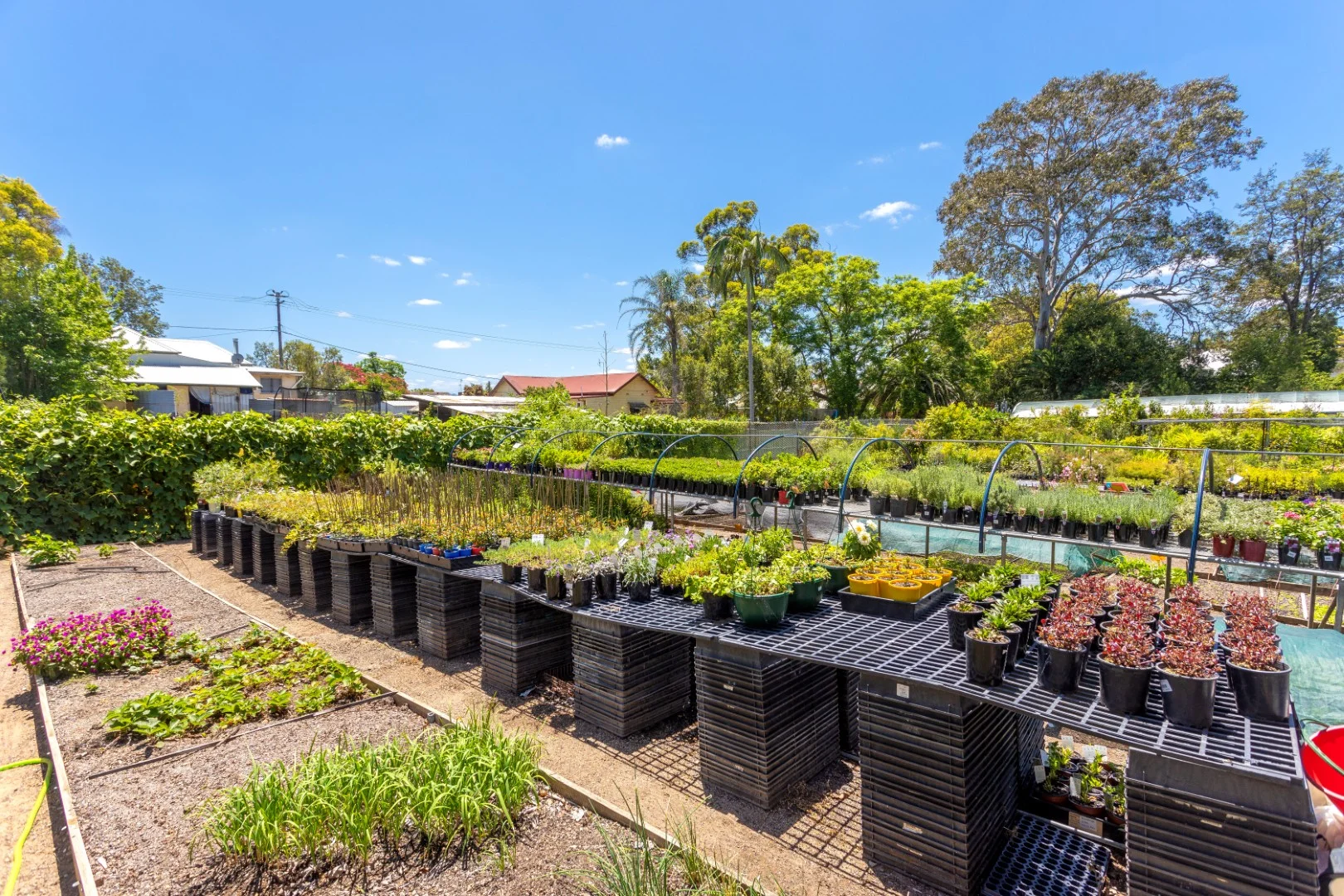 Additional image 6 of 1-5 William Street, Wingham NSW 2429