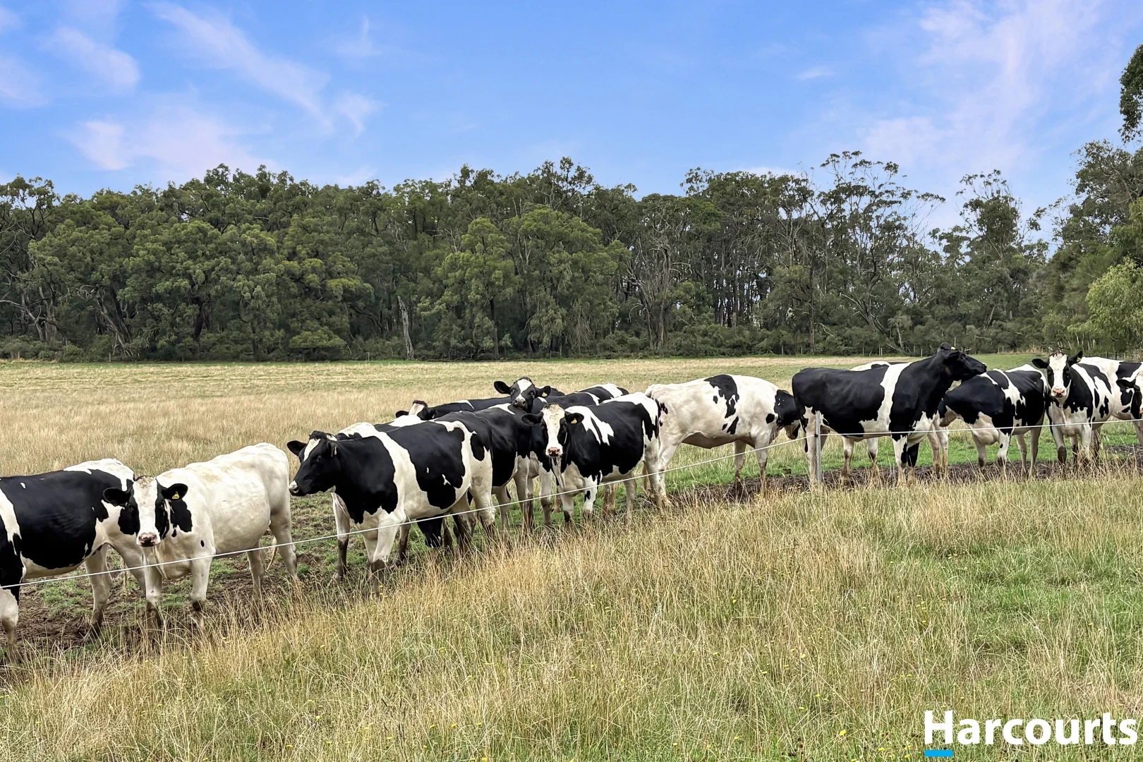 Additional image 10 of 210 Frys Road, Leongatha South VIC 3953