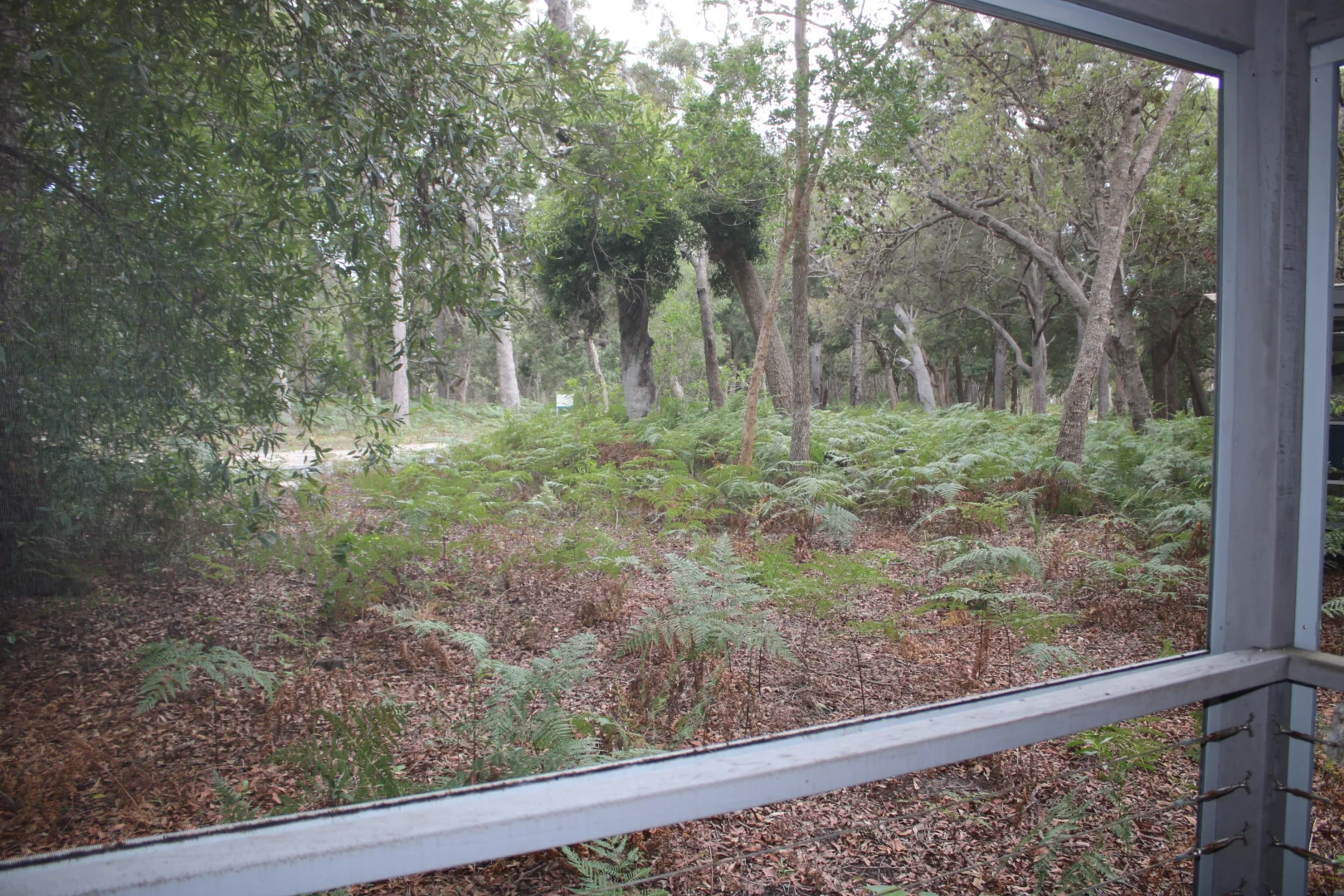 Additional image 9 of Lot 10/5207 Island St, South Stradbroke QLD 4216