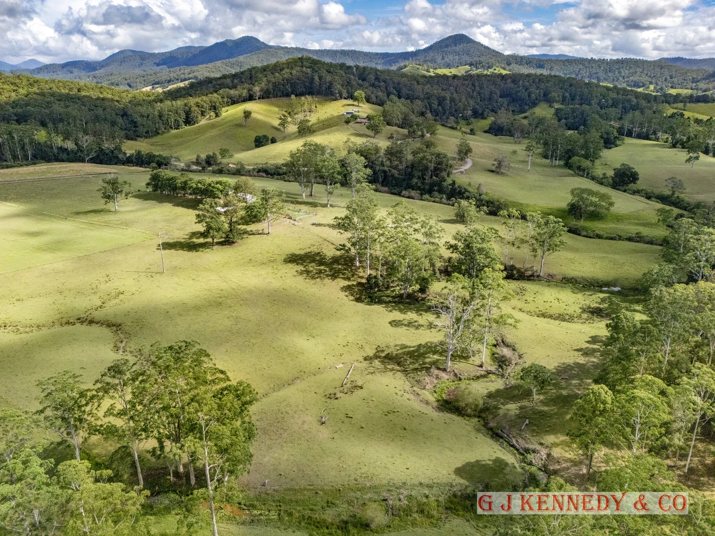 Additional image 3 of 223 Bakers Creek Road, Taylors Arm NSW 2447