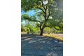 6340 Crystal Blvd, El Dorado, CA, 95623 photo 4