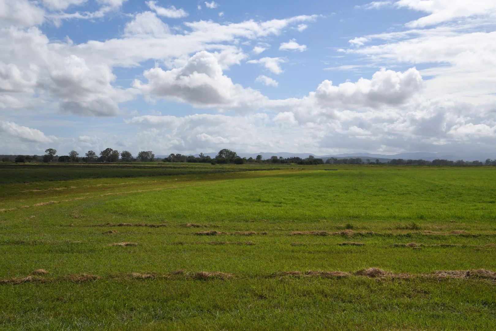 Additional image 24 of 909 Clarendon Road, Clarendon QLD 4311