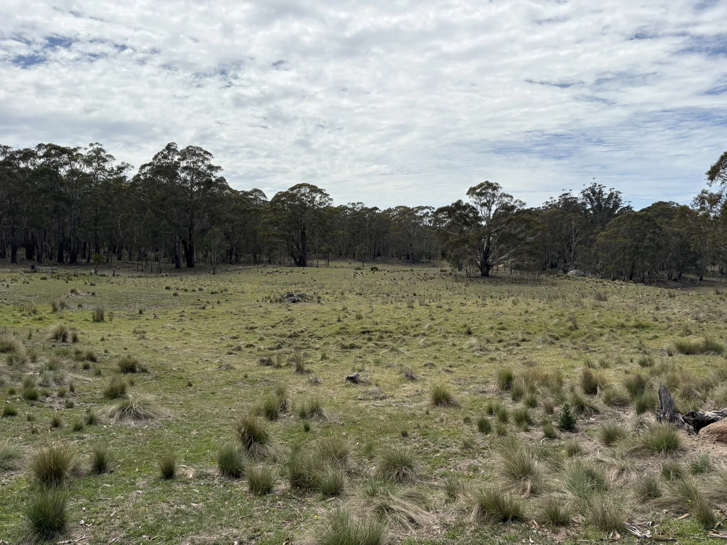 Additional image 9 of Lot 31/31, 175 Tumbledown Road, Peak View NSW 2630