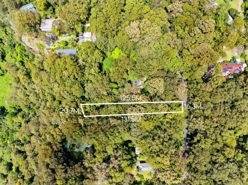 2195 Springbrook Road, Springbrook QLD 4213