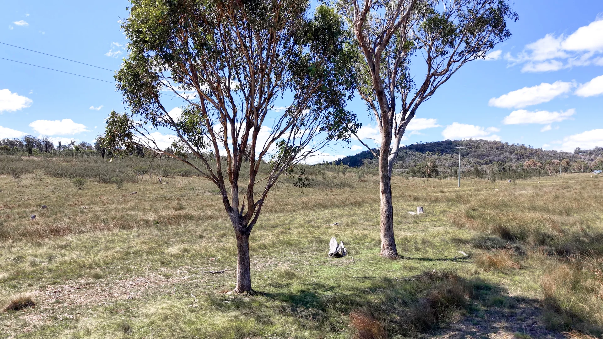 Additional image 3 of 72 Tarban Road, Tenterfield NSW 2372