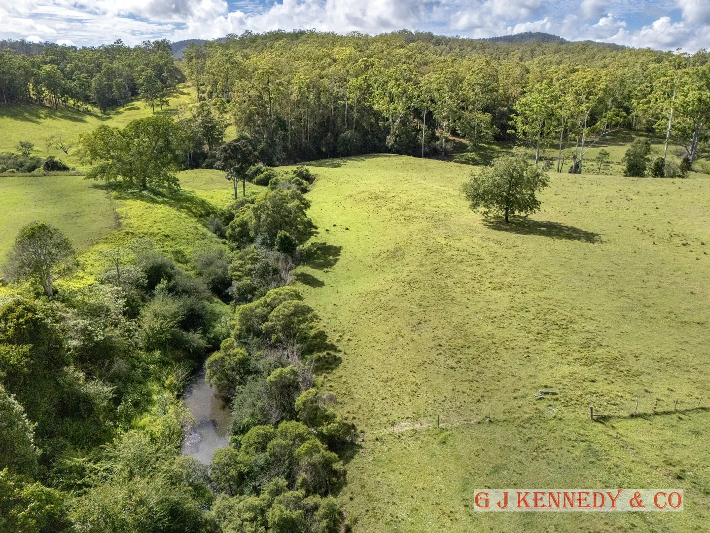 Additional image 10 of 223 Bakers Creek Road, Taylors Arm NSW 2447