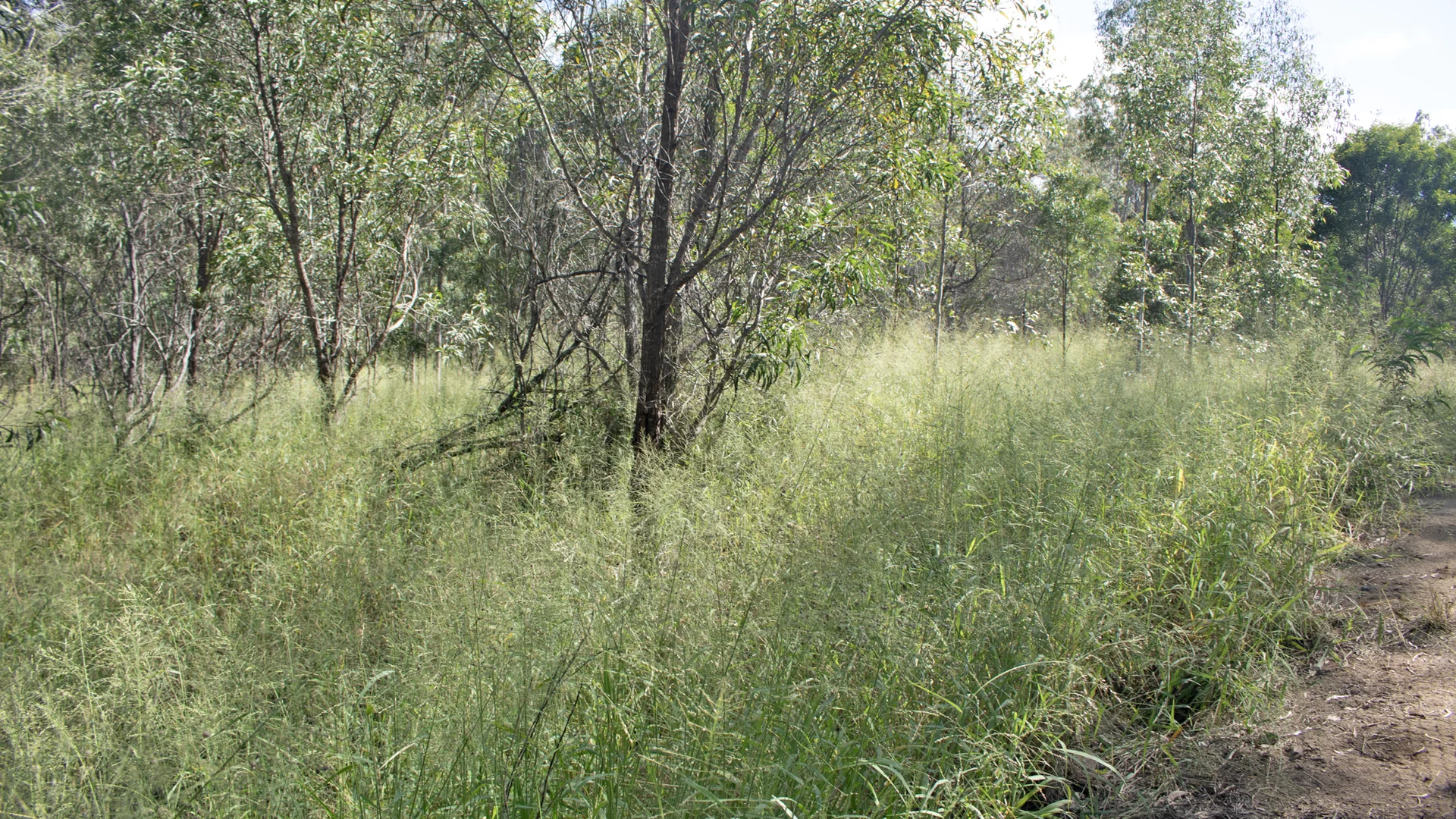 Lot 2/MPH22711 Burnett Highway, Eidsvold QLD 4627 photo 3