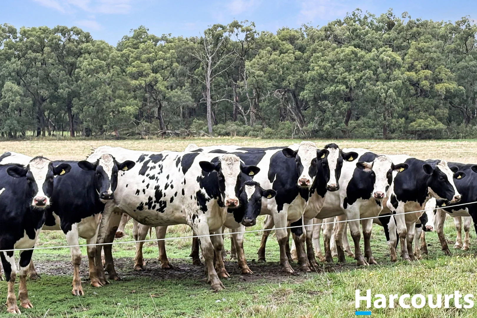 Additional image 9 of 210 Frys Road, Leongatha South VIC 3953