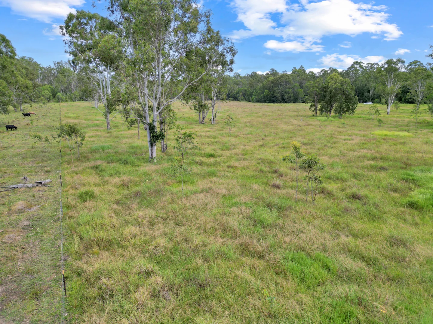Additional image 9 of Lot 145 Ellangowan Myrtle Creek Road Ellangowan Via, Casino NSW 2470