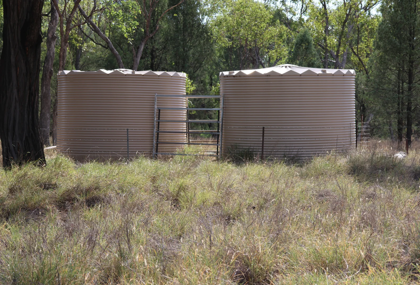 Additional image 18 of 3752 Mitchell Forest Vale Road, Mitchell QLD 4465