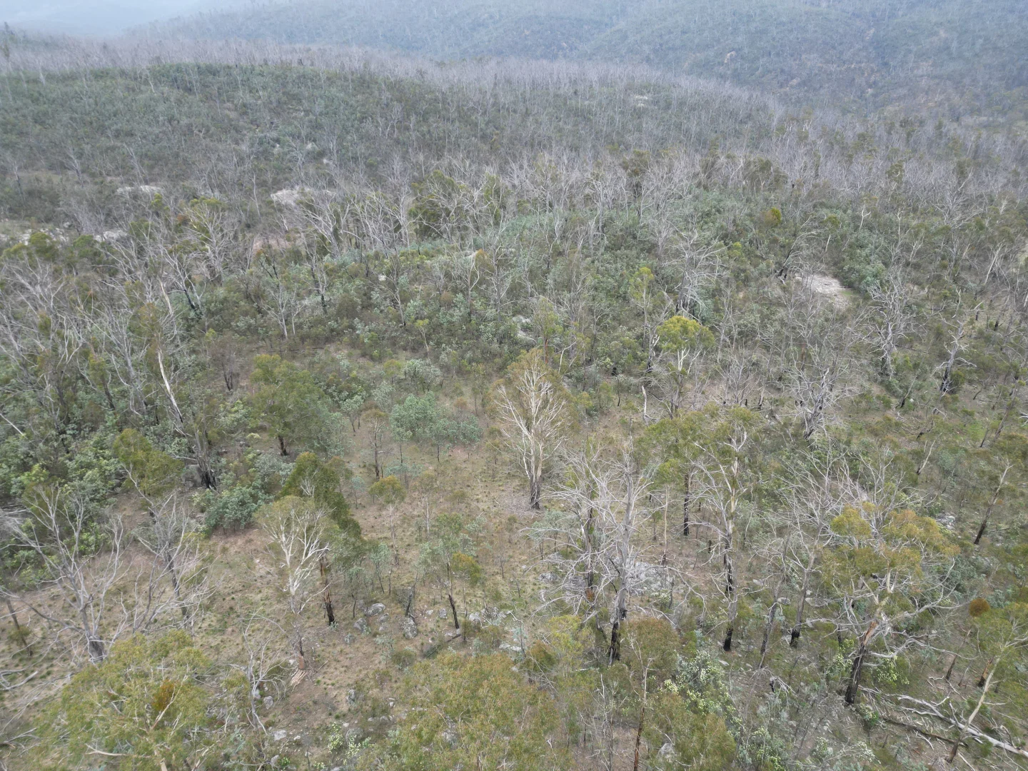 Additional image 23 of Lot 97/97, 175 Tumbledown Road, Peak View NSW 2630