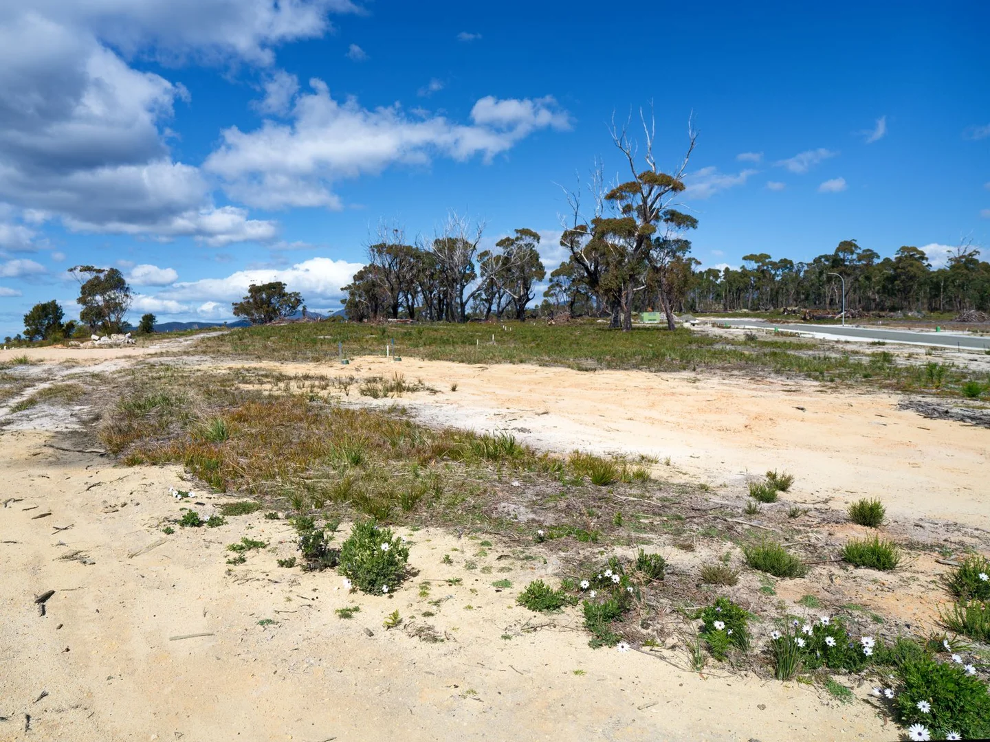 Additional image 10 of 26 Wrinklers Drive, Scamander TAS 7215