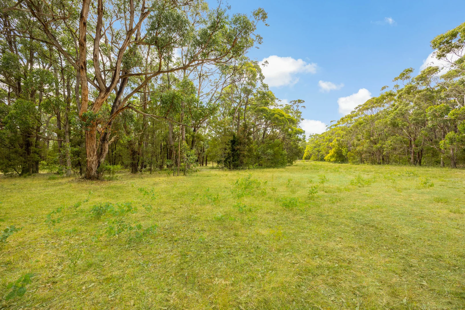 Additional image 21 of 183 Coffeys Road, Bullengarook VIC 3437