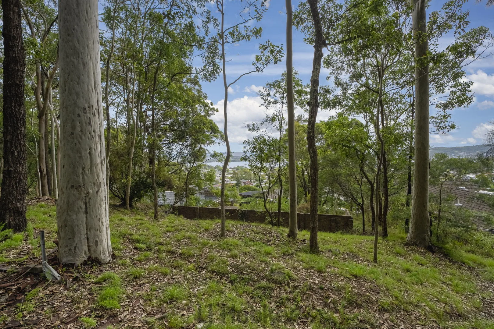 Additional image 6 of 11 Drayton Close, Eleebana NSW 2282