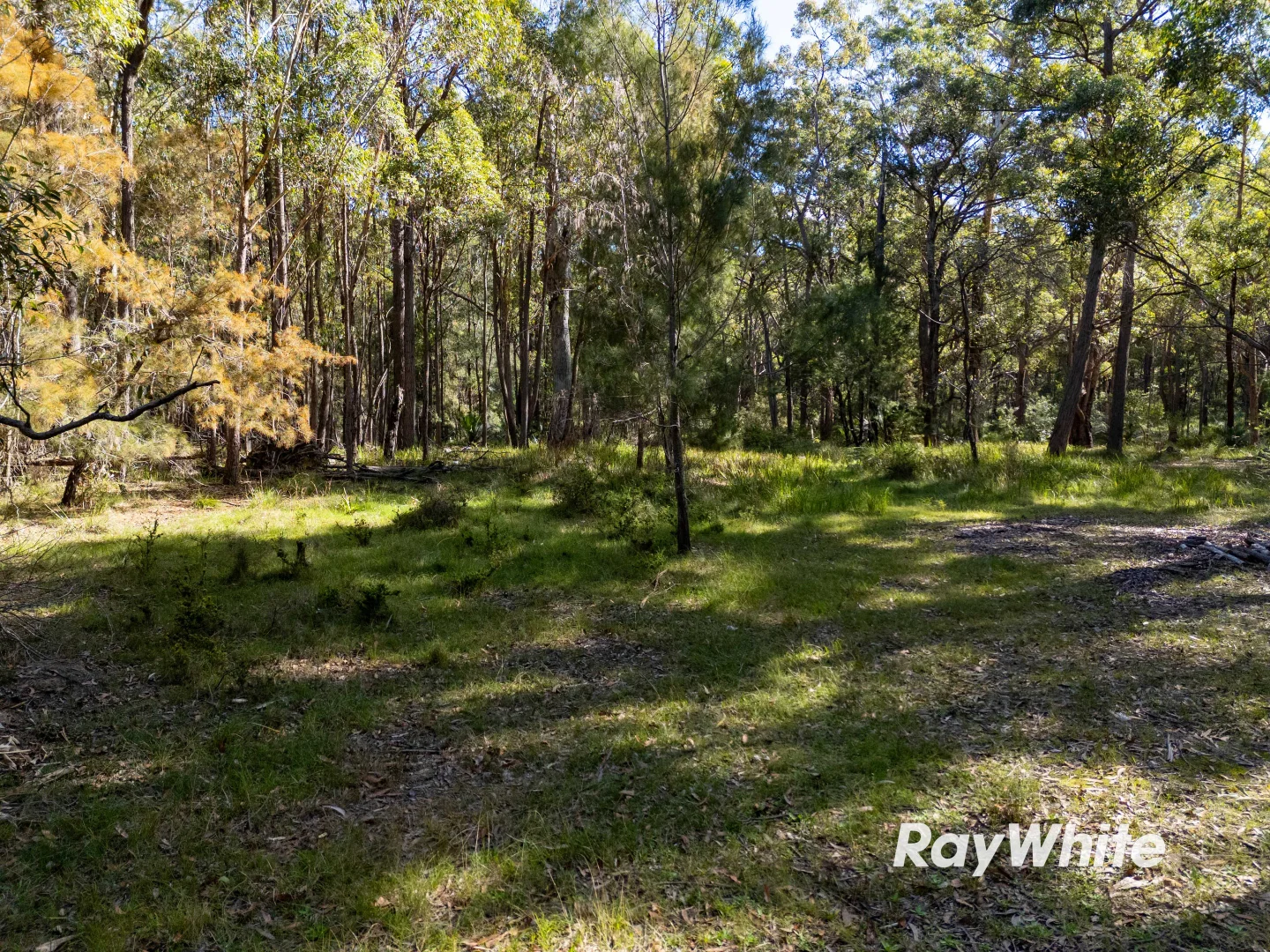 Additional image 5 of Bingie Road, Bergalia NSW 2537